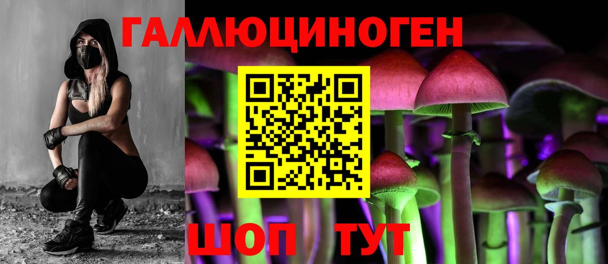 Кувандык  Галлюциногенные грибы MAGIC MUSHROOMS  Вход с VPN 